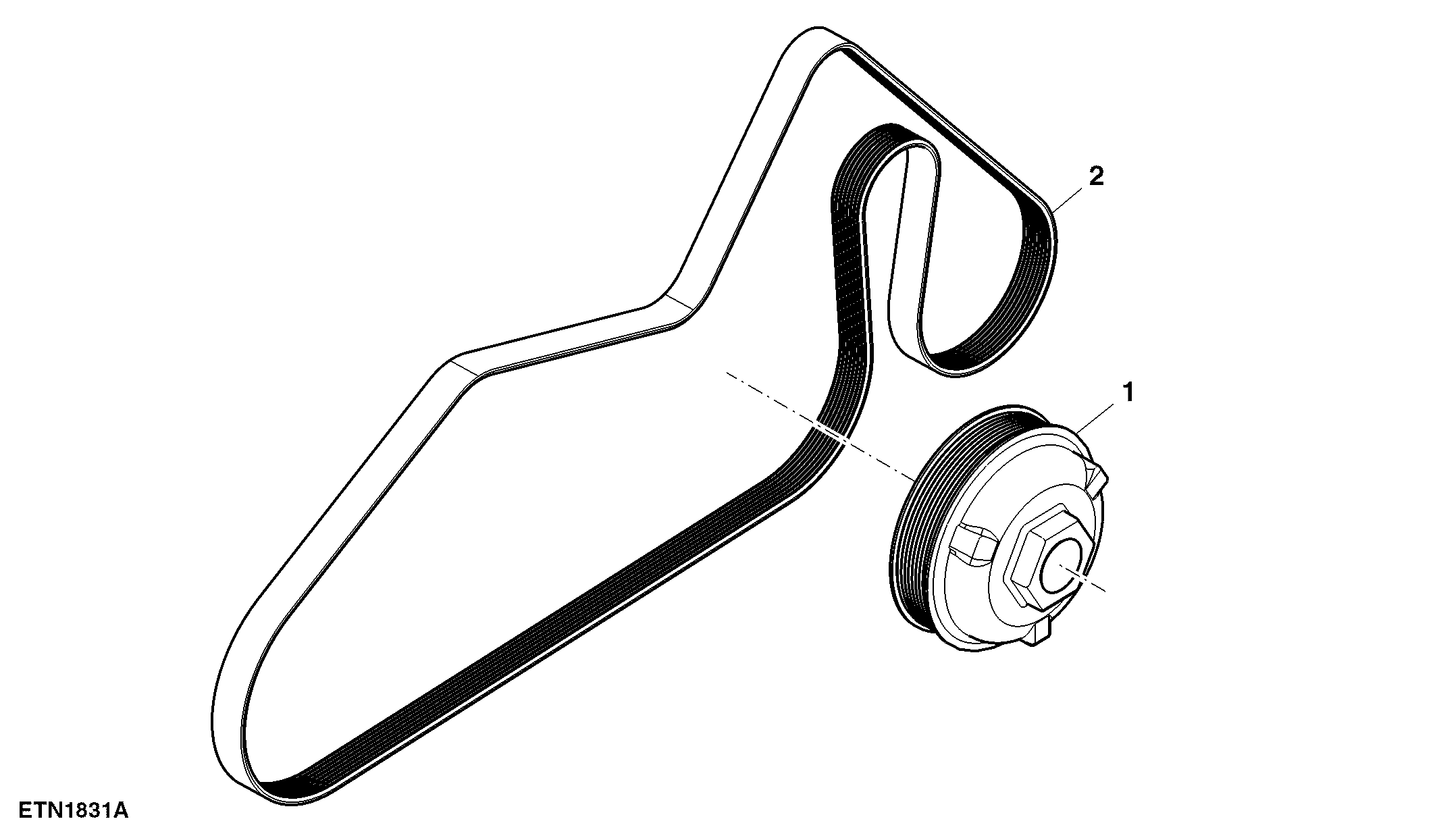 Belt Set, Stage III- Low And Non Certified- High
