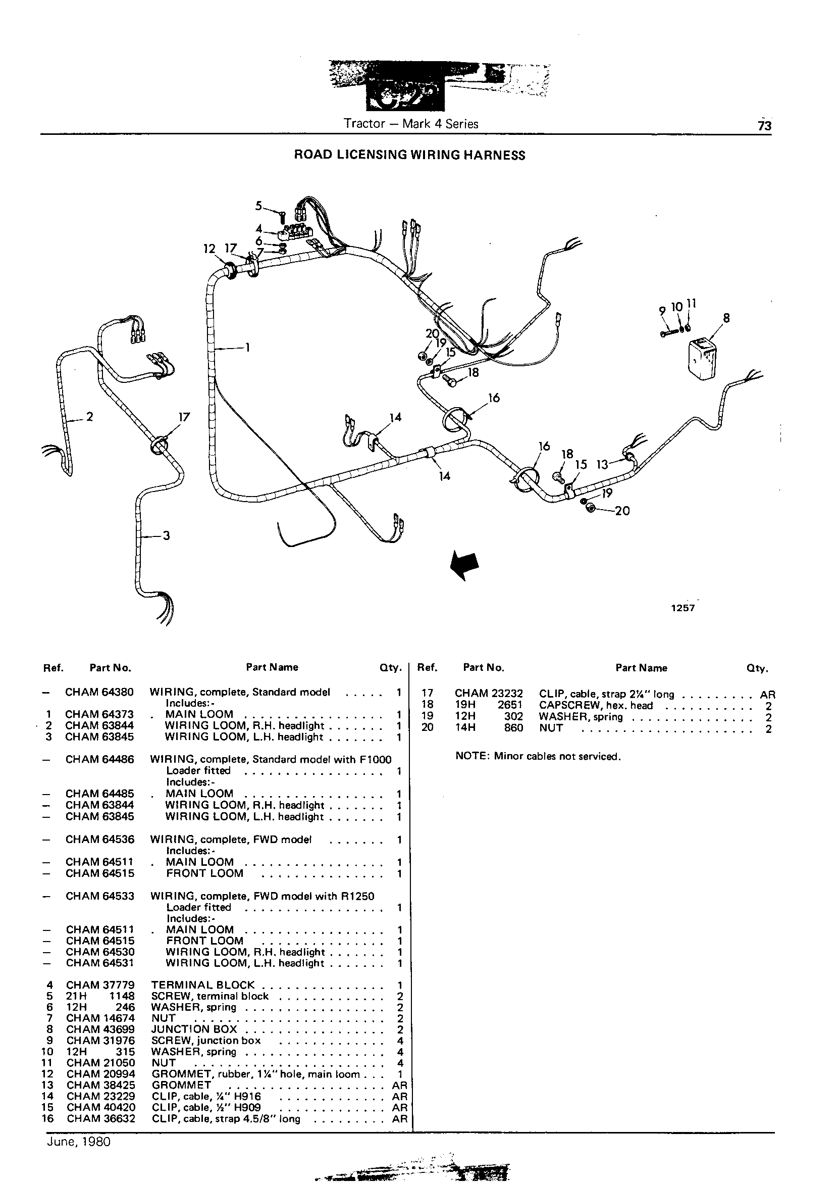 Road Licensing Wiring Harness